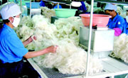 阿拉善盟下发专项资金400万元扶持羊绒产业